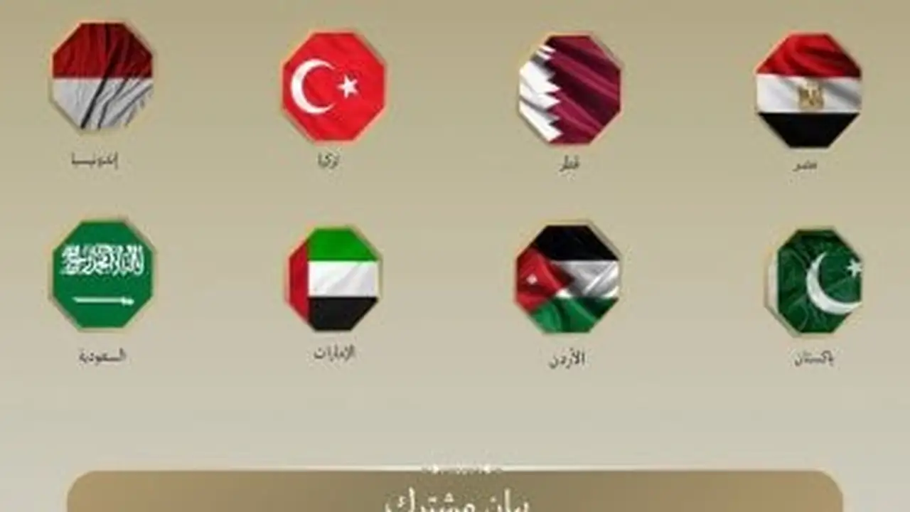 مصر ودول عربية تندد بأفعال المتطرف بن غفير تجاه أسطول الحرية